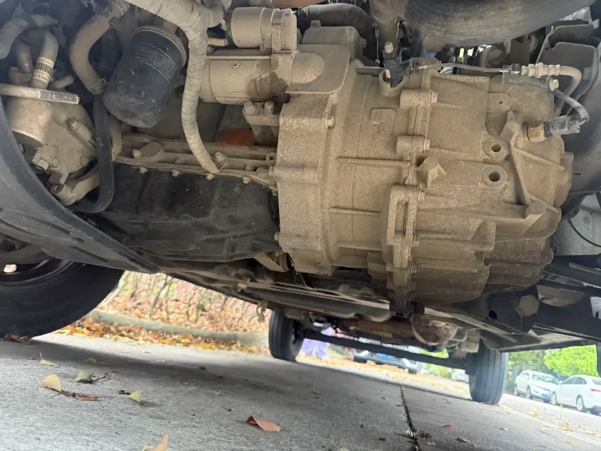 2021 DaYun Pickup 2.0T 163HP L4 6MT,autocango,china used car exporter,china ev exporter,chinese used car exporter,chinese used ev exporter