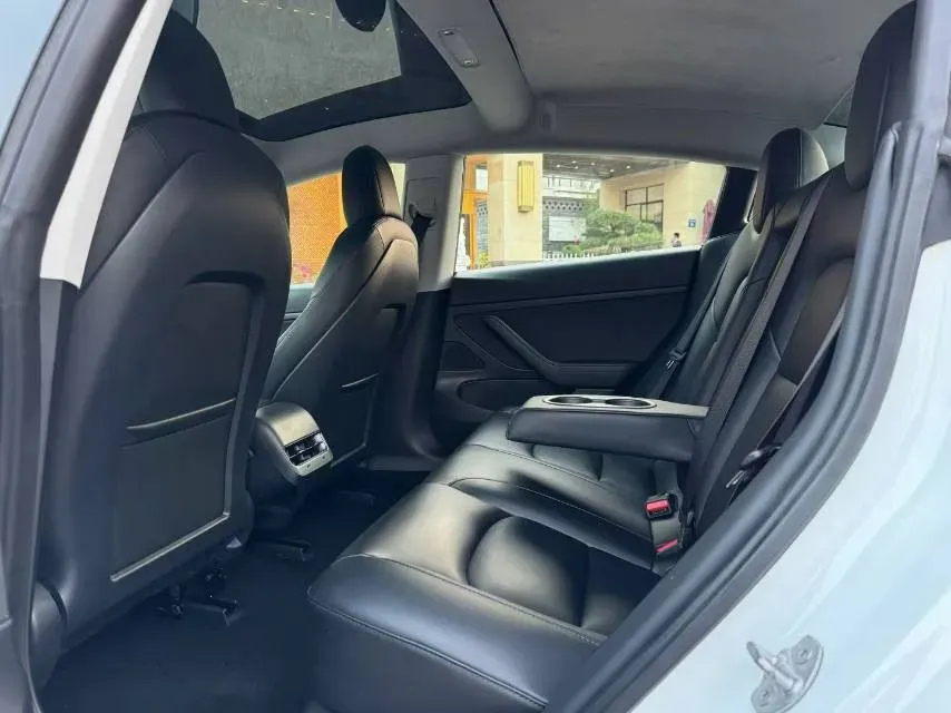 2020 Tesla Model 3 BEV 52KWH,autocango,china used car exporter,china ev exporter,chinese used car exporter,chinese used ev exporter