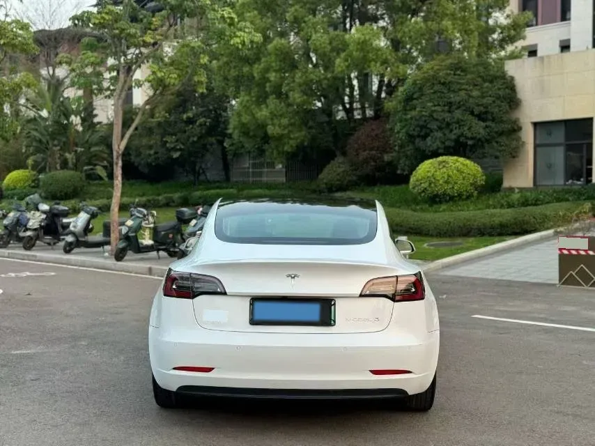 2020 Tesla Model 3 BEV 52KWH,autocango,china used car exporter,china ev exporter,chinese used car exporter,chinese used ev exporter