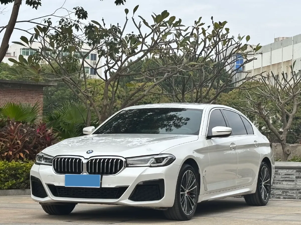 2022 BMW 5 Series 2.0T 252HP L4 8AT,autocango,china used car exporter,china ev exporter,chinese used car exporter,chinese used ev exporter