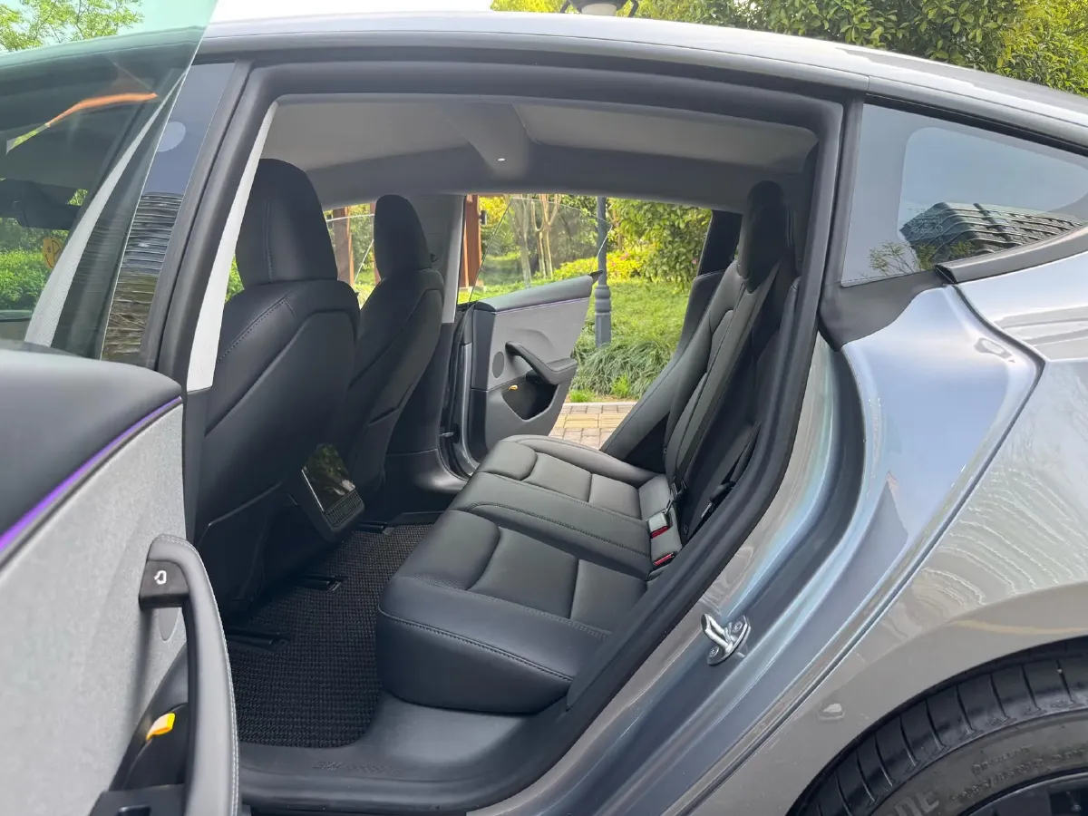 2025 Tesla Model 3 BEV,autocango,china used car exporter,china ev exporter,chinese used car exporter,chinese used ev exporter