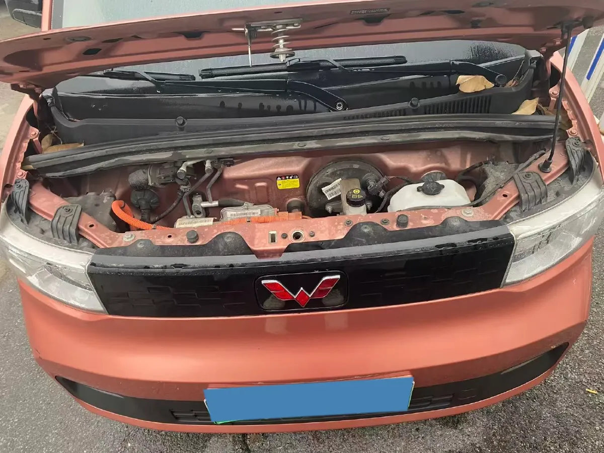 2021 WuLing HongGuang MINI EV BEV 9KWH,autocango,china used car exporter,china ev exporter,chinese used car exporter,chinese used ev exporter