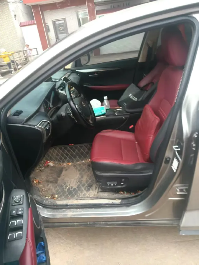 2020 Lexus NX 2.0L 150HP L4 CVT,autocango,china used car exporter,china ev exporter,chinese used car exporter,chinese used ev exporter