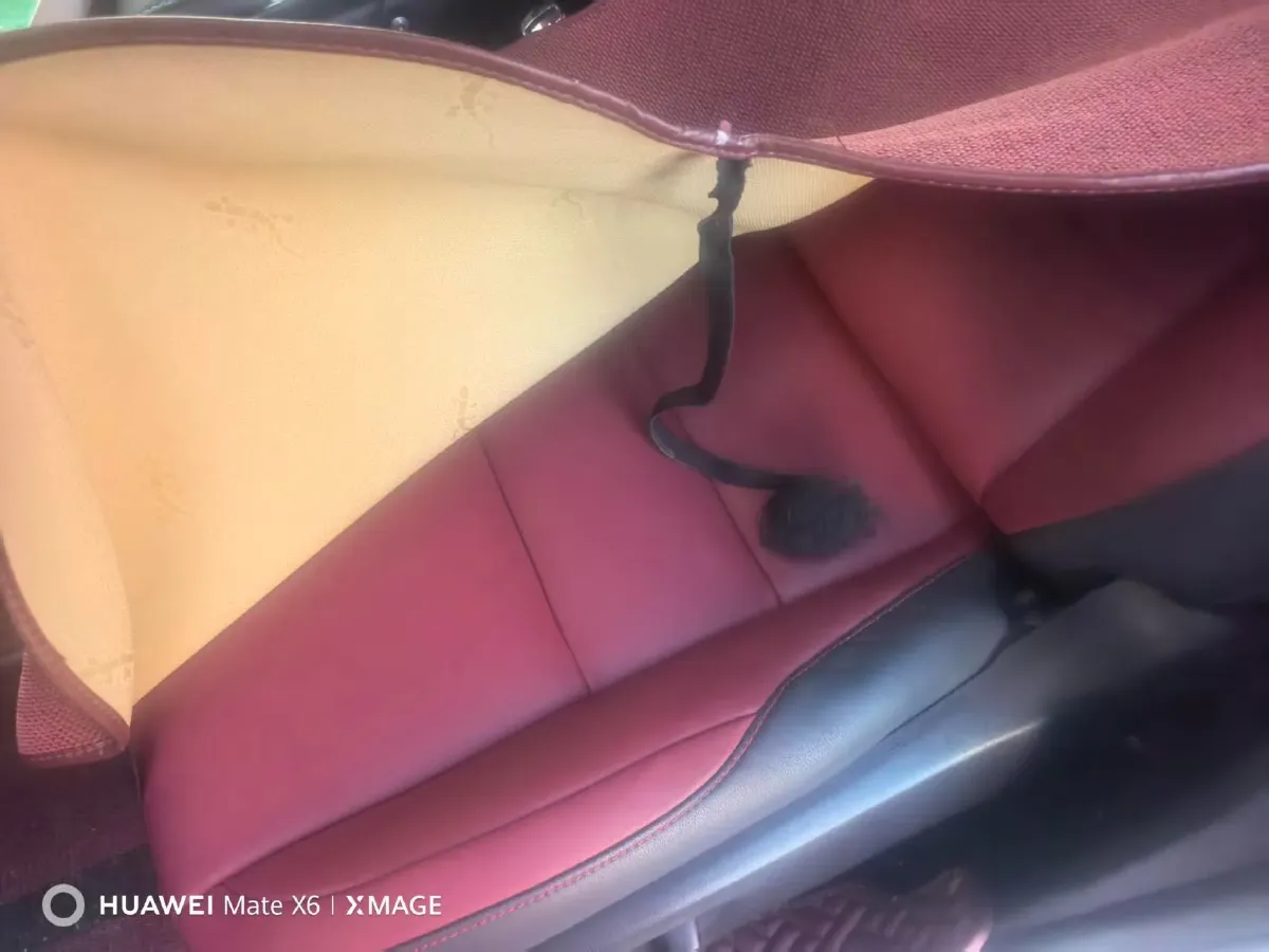 2020 Lexus NX 2.0T 238HP L4 6AT,autocango,china used car exporter,china ev exporter,chinese used car exporter,chinese used ev exporter