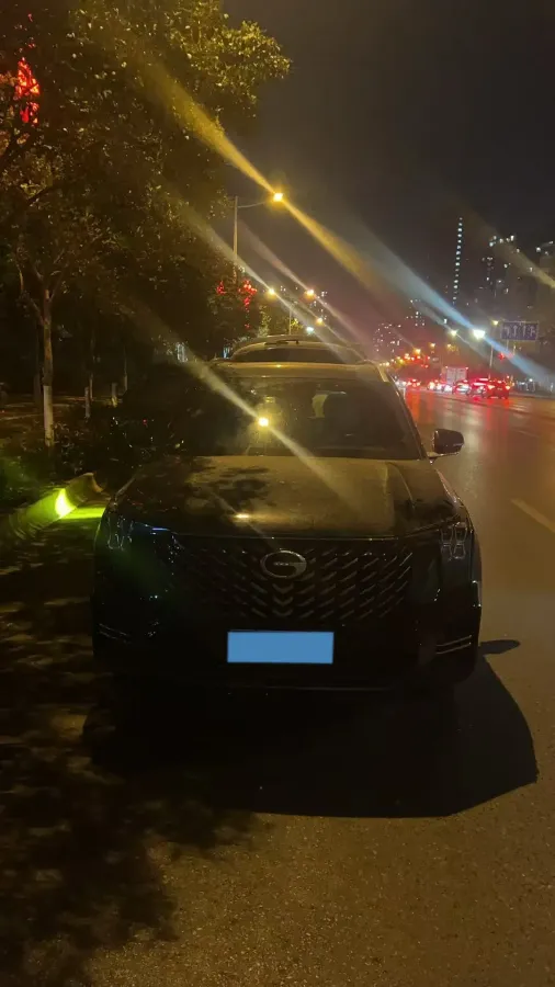 2024 GAC Trumpchi GS8 2.0T 252HP L4 8AT,autocango,china used car exporter,china ev exporter,chinese used car exporter,chinese used ev exporter