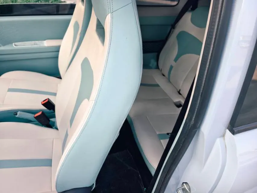 2024 ZD Rainbow BEV 17.3KWH,autocango,china used car exporter,china ev exporter,chinese used car exporter,chinese used ev exporter