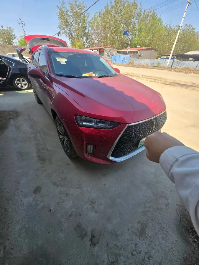 2018 WEY P8 2.0T 234HP L4 6DCT PHEV 12.96KWH,autocango,china used car exporter,china ev exporter,chinese used car exporter,chinese used ev exporter