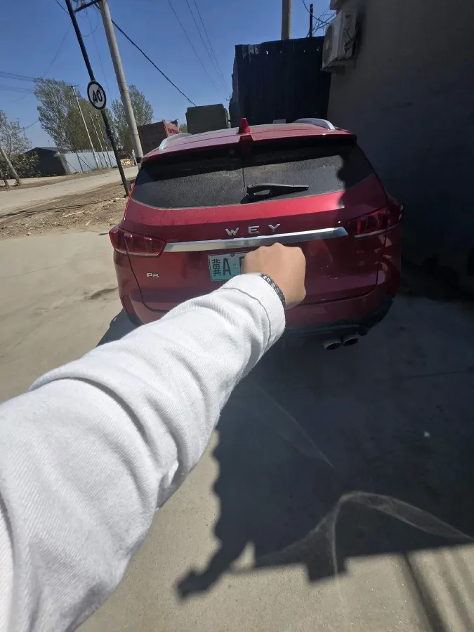 2018 WEY P8 2.0T 234HP L4 6DCT PHEV 12.96KWH,autocango,china used car exporter,china ev exporter,chinese used car exporter,chinese used ev exporter