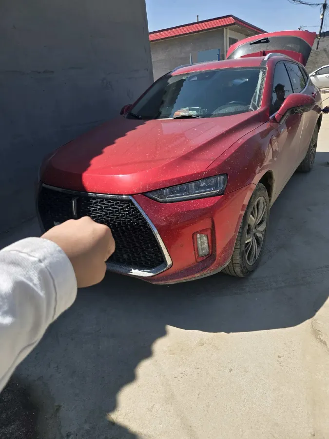 2018 WEY P8 2.0T 234HP L4 6DCT PHEV 12.96KWH,autocango,china used car exporter,china ev exporter,chinese used car exporter,chinese used ev exporter