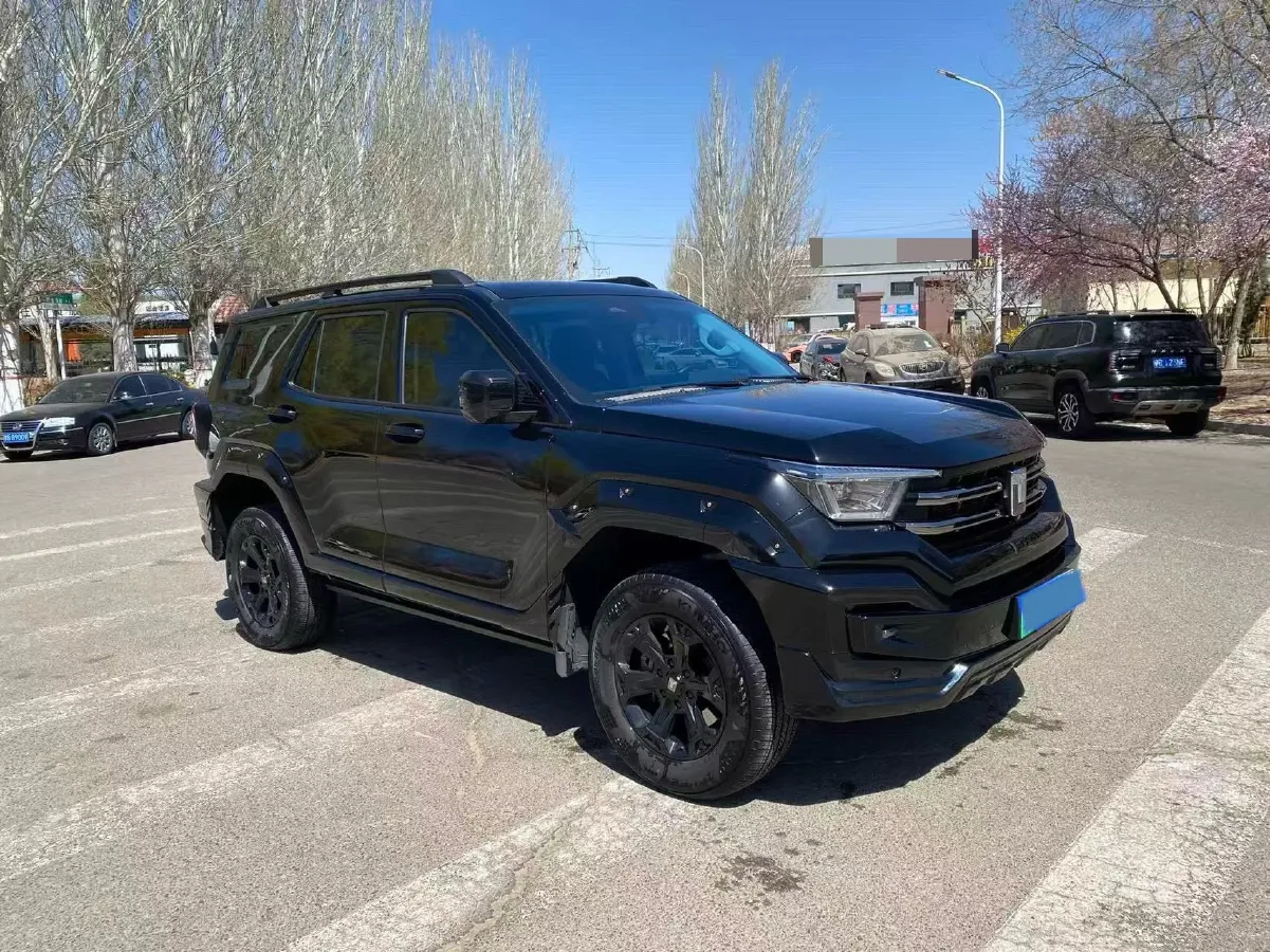 2024 Tank 400 2.0T 252HP L4 9AT PHEV 36.7/37.1KWH,autocango,china used car exporter,china ev exporter,chinese used car exporter,chinese used ev exporter