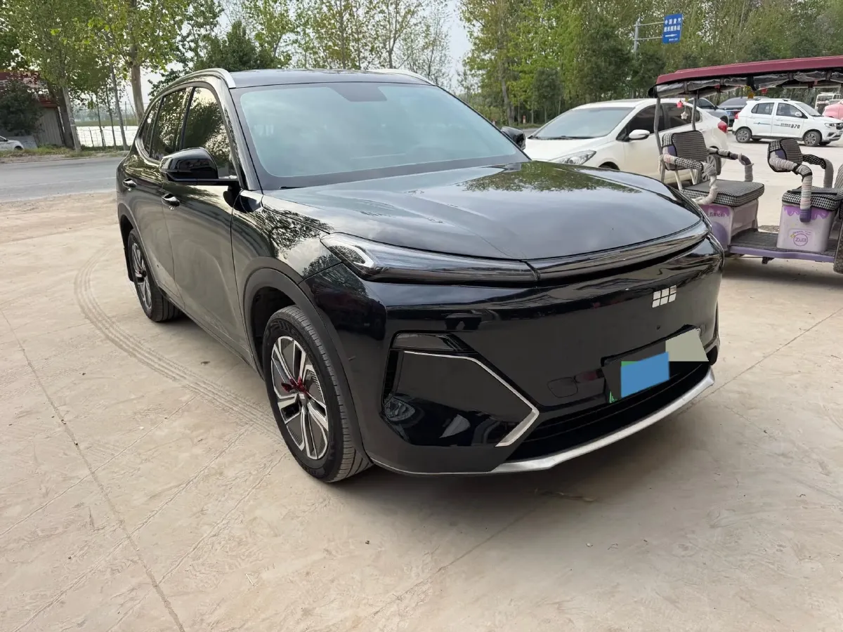 2025 Radar KingKong BEV 63KWH,autocango,china used car exporter,china ev exporter,chinese used car exporter,chinese used ev exporter