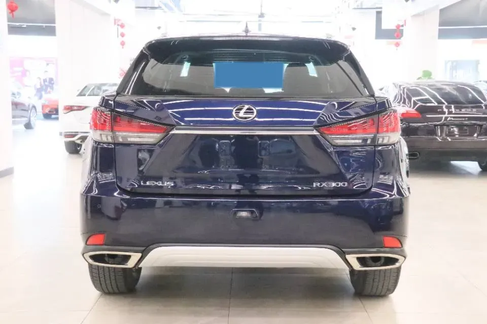 2020 Lexus RX 2.0T 231HP L4 6AT,autocango,china used car exporter,china ev exporter,chinese used car exporter,chinese used ev exporter