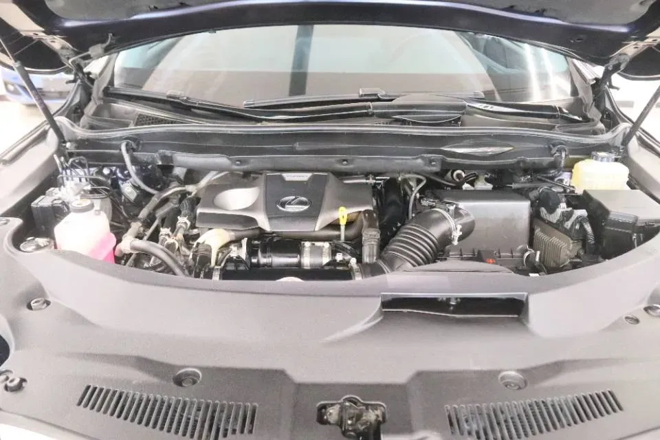 2020 Lexus RX 2.0T 231HP L4 6AT,autocango,china used car exporter,china ev exporter,chinese used car exporter,chinese used ev exporter