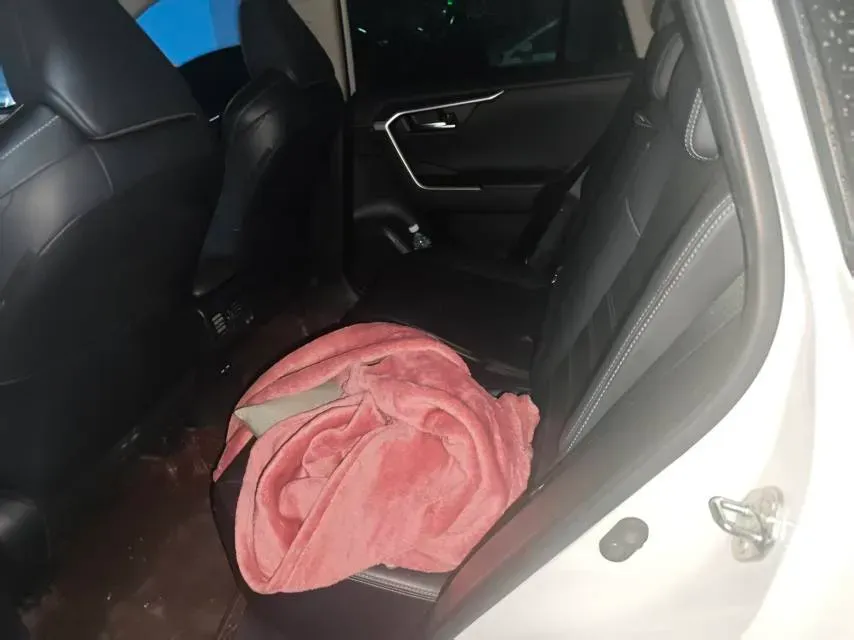 2020 Toyota Wildlander 2.0L 171HP L4 CVT,autocango,china used car exporter,china ev exporter,chinese used car exporter,chinese used ev exporter