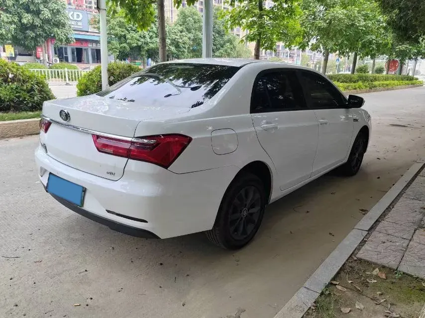 2019 BYD Qin BEV 53.1KWH,autocango,china used car exporter,china ev exporter,chinese used car exporter,chinese used ev exporter
