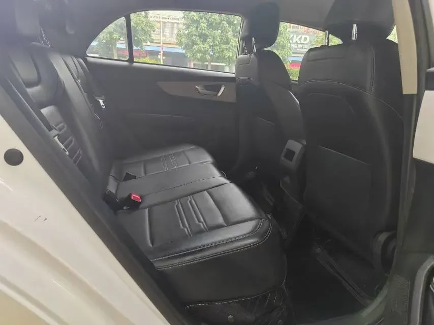 2019 BYD Qin BEV 53.1KWH,autocango,china used car exporter,china ev exporter,chinese used car exporter,chinese used ev exporter