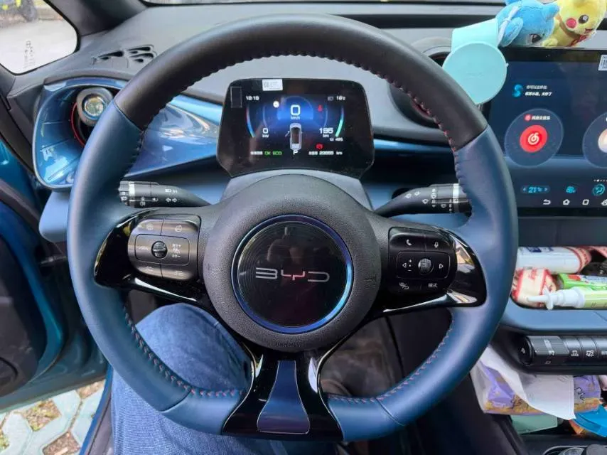 2021 BYD e2 BEV 43.2KWH,autocango,china used car exporter,china ev exporter,chinese used car exporter,chinese used ev exporter