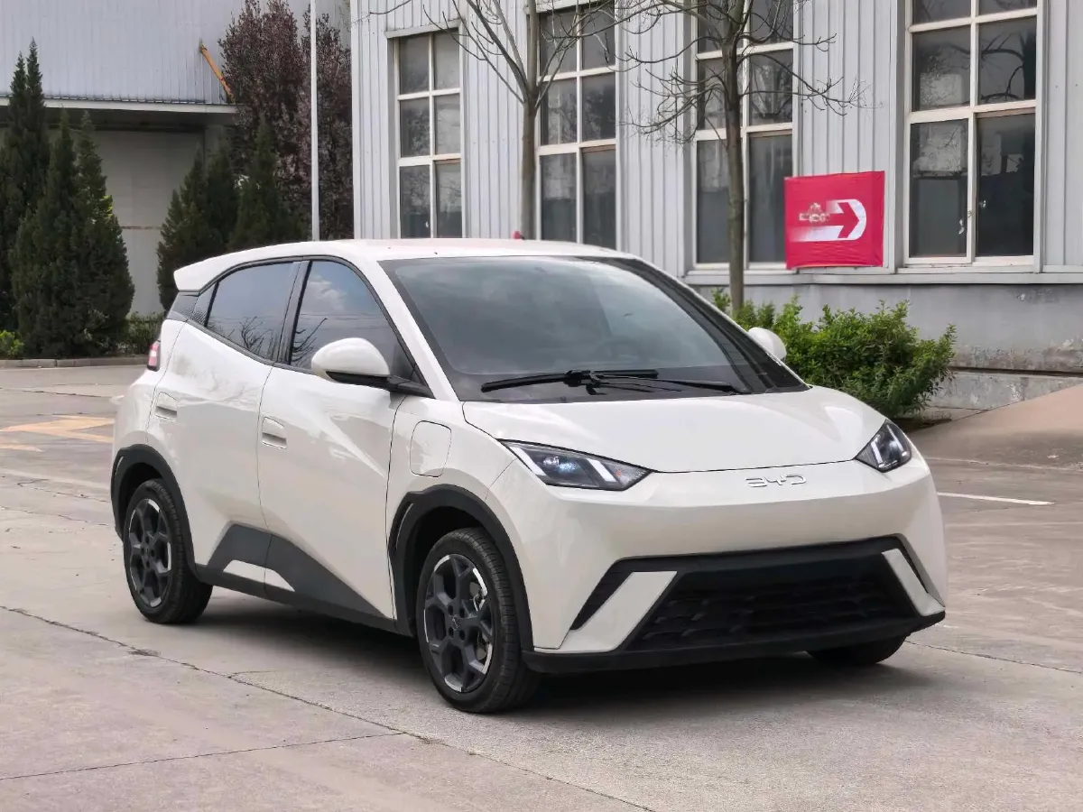 2024 BYD Seagull BEV 30.08KWH,autocango,china used car exporter,china ev exporter,chinese used car exporter,chinese used ev exporter