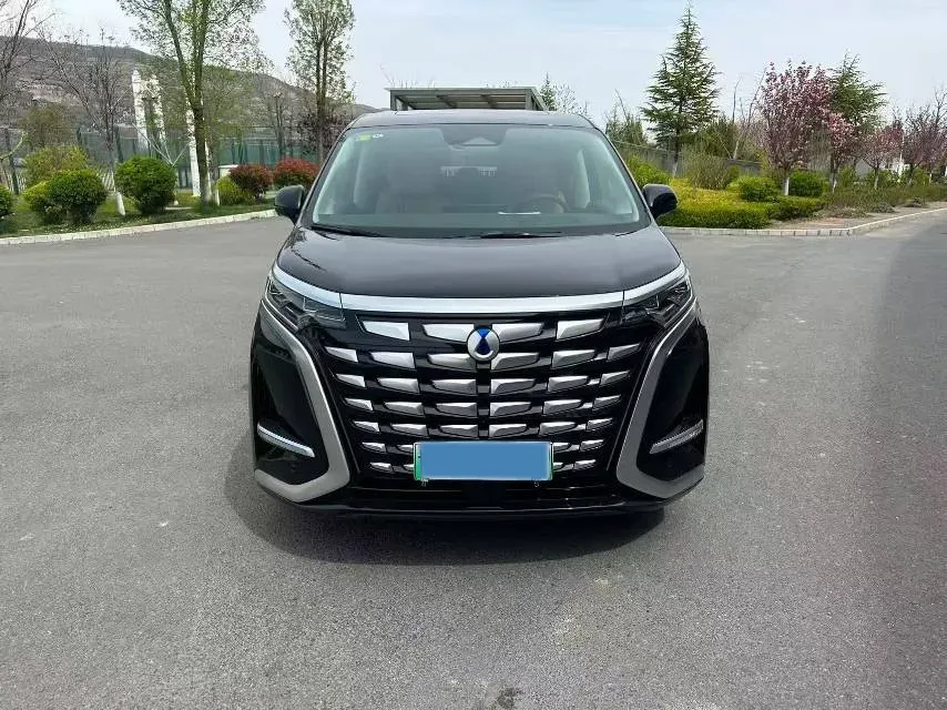 2024 Denza D9 1.5T 139HP L4 E-CVT PHEV 40KWH,autocango,china used car exporter,china ev exporter,chinese used car exporter,chinese used ev exporter