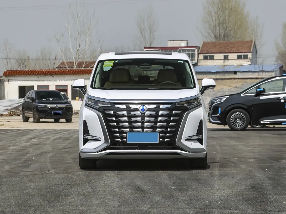 2024 Denza D9 1.5T 139HP L4 E-CVT PHEV 20.39KWH,autocango,china used car exporter,china ev exporter,chinese used car exporter,chinese used ev exporter