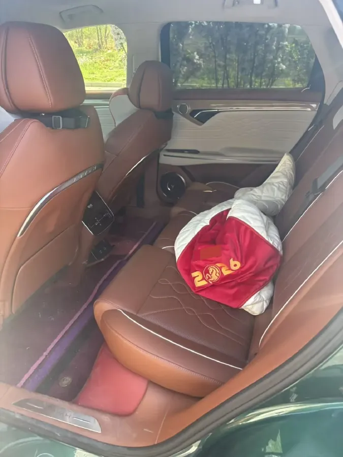 2024 Voyah FREE 1.5T 150HP L4 REEV 39.2KWH,autocango,china used car exporter,china ev exporter,chinese used car exporter,chinese used ev exporter