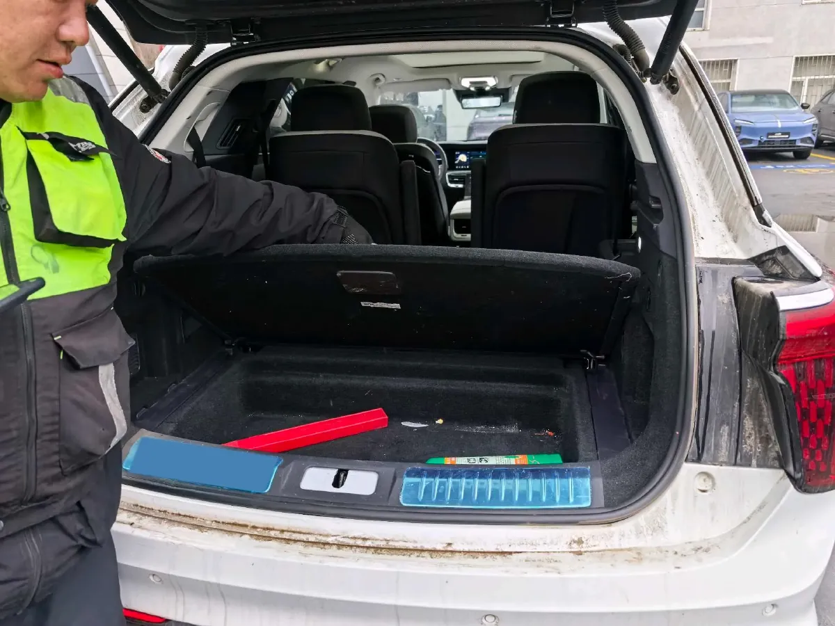 2021 HongQi E-HS9 BEV 99KWH,autocango,china used car exporter,china ev exporter,chinese used car exporter,chinese used ev exporter