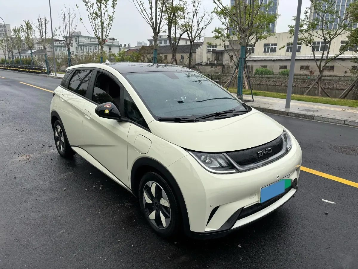 2024 BYD Dolphin BEV 44.928KWH,autocango,china used car exporter,china ev exporter,chinese used car exporter,chinese used ev exporter