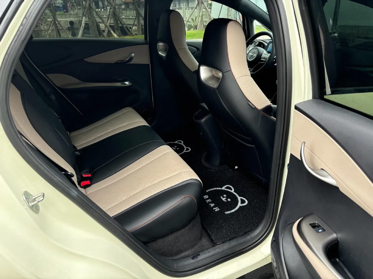 2024 BYD Dolphin BEV 44.928KWH,autocango,china used car exporter,china ev exporter,chinese used car exporter,chinese used ev exporter