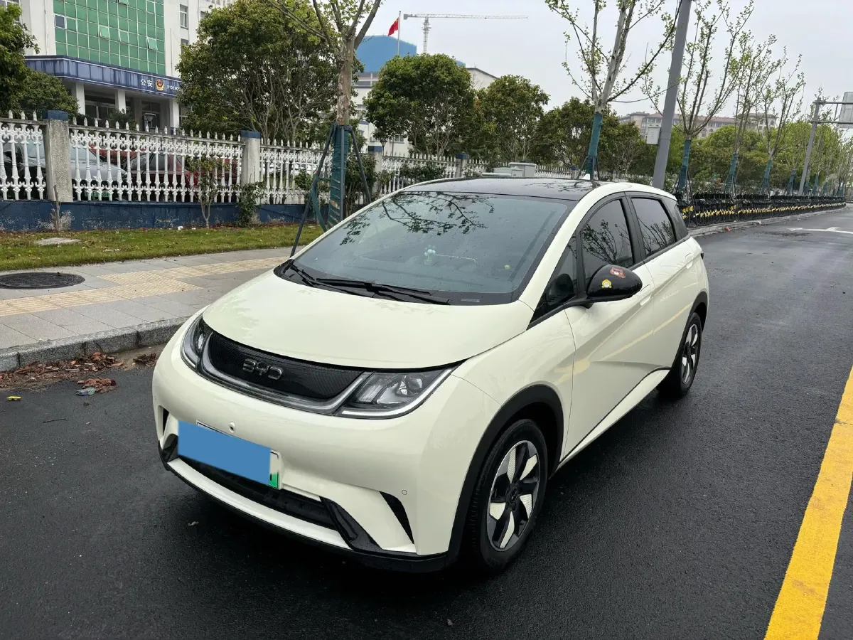 2024 BYD Dolphin BEV 44.928KWH,autocango,china used car exporter,china ev exporter,chinese used car exporter,chinese used ev exporter