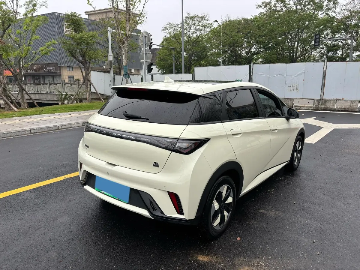 2024 BYD Dolphin BEV 44.928KWH,autocango,china used car exporter,china ev exporter,chinese used car exporter,chinese used ev exporter
