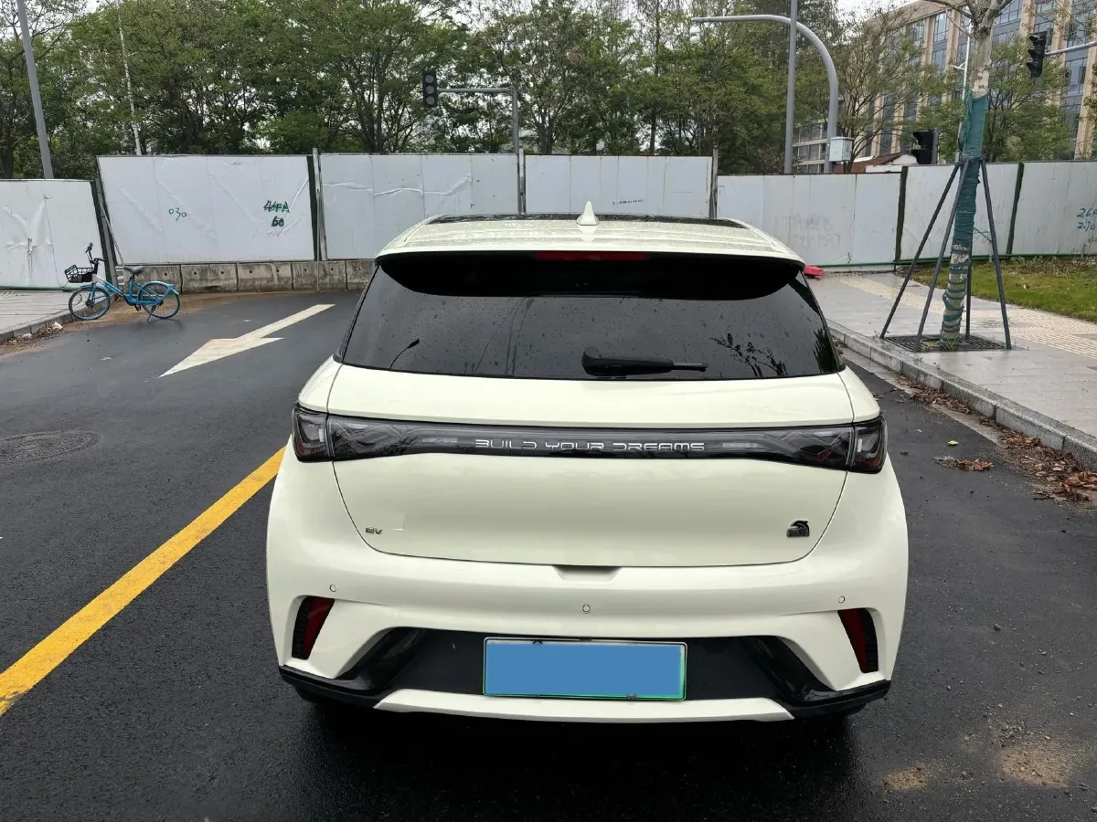 2024 BYD Dolphin BEV 44.928KWH,autocango,china used car exporter,china ev exporter,chinese used car exporter,chinese used ev exporter