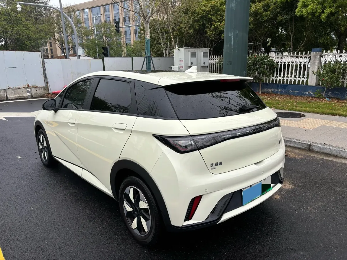 2024 BYD Dolphin BEV 44.928KWH,autocango,china used car exporter,china ev exporter,chinese used car exporter,chinese used ev exporter