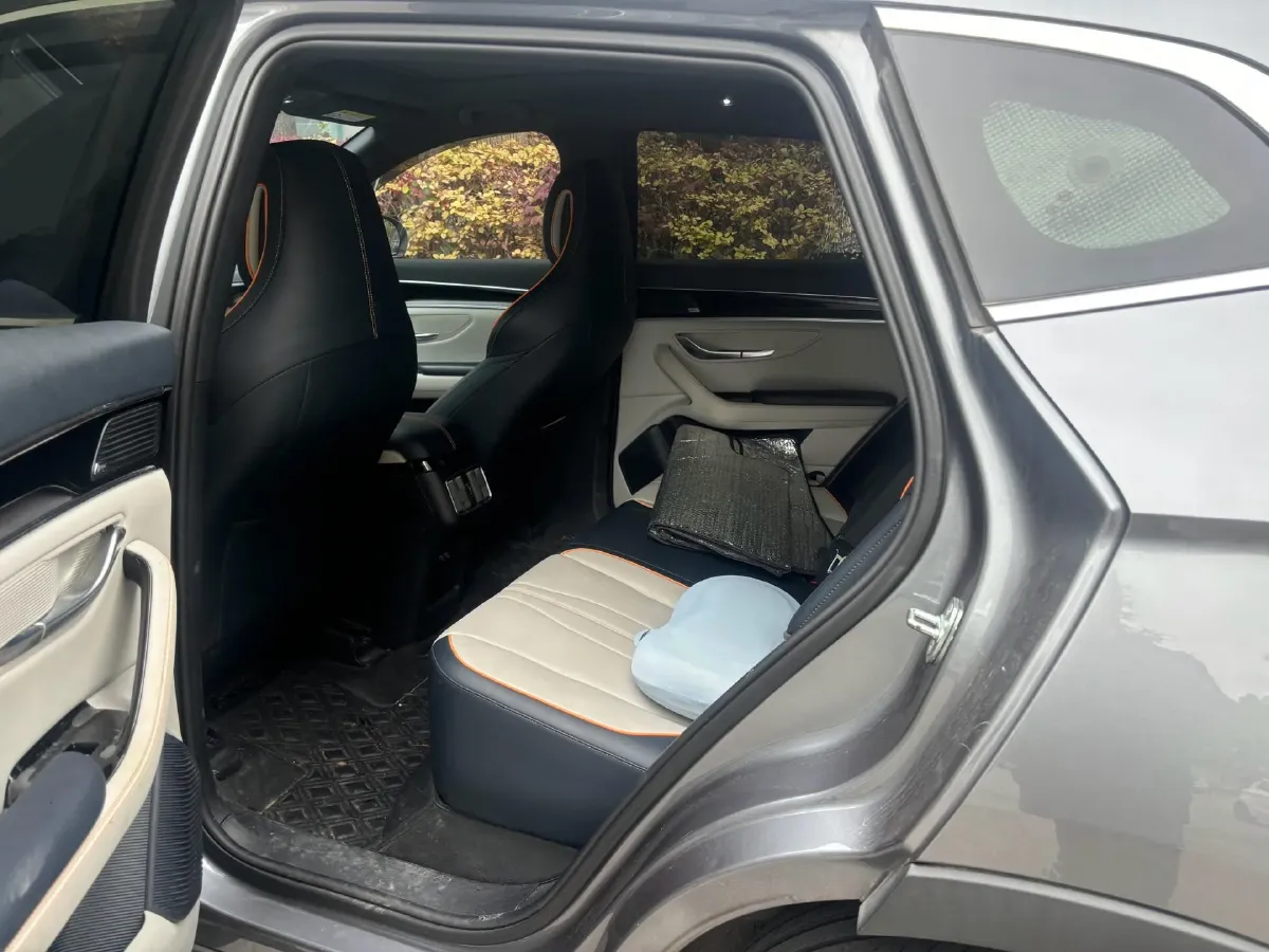 2021 SRM Sea Lion EV BEV 41.86KWH,autocango,china used car exporter,china ev exporter,chinese used car exporter,chinese used ev exporter