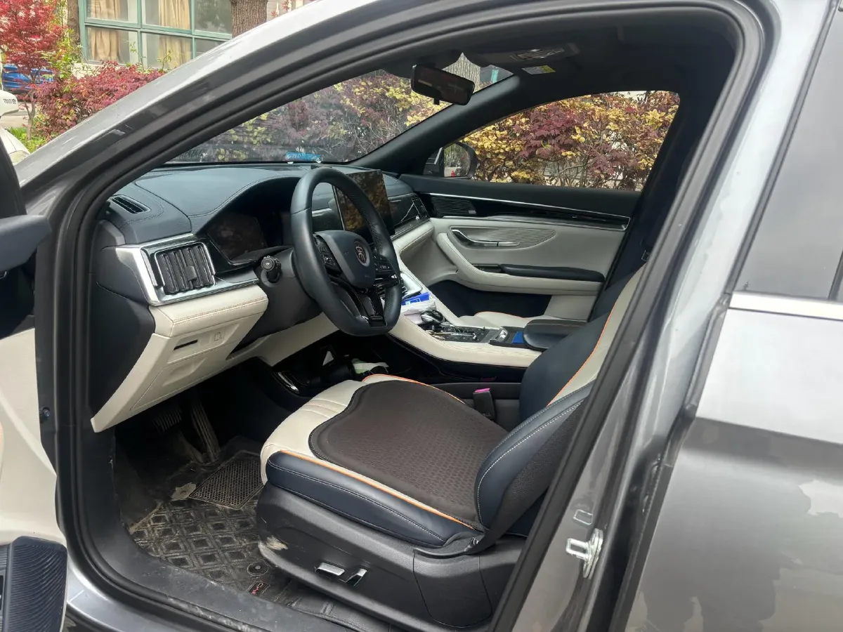 2021 SRM Sea Lion EV BEV 41.86KWH,autocango,china used car exporter,china ev exporter,chinese used car exporter,chinese used ev exporter