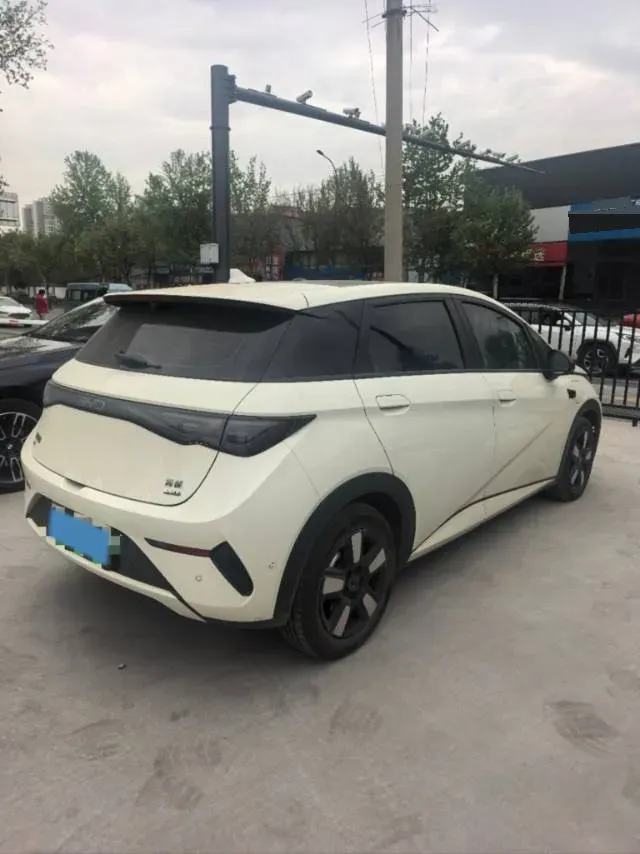 2025 BYD Dolphin BEV 45.12KWH,autocango,china used car exporter,china ev exporter,chinese used car exporter,chinese used ev exporter