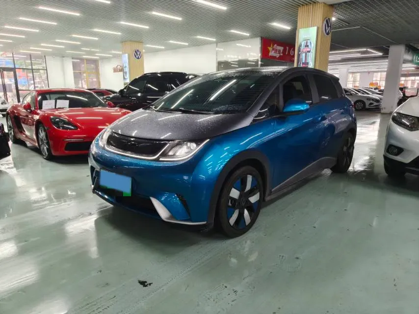 2021 BYD e2 BEV 43.2KWH,autocango,china used car exporter,china ev exporter,chinese used car exporter,chinese used ev exporter