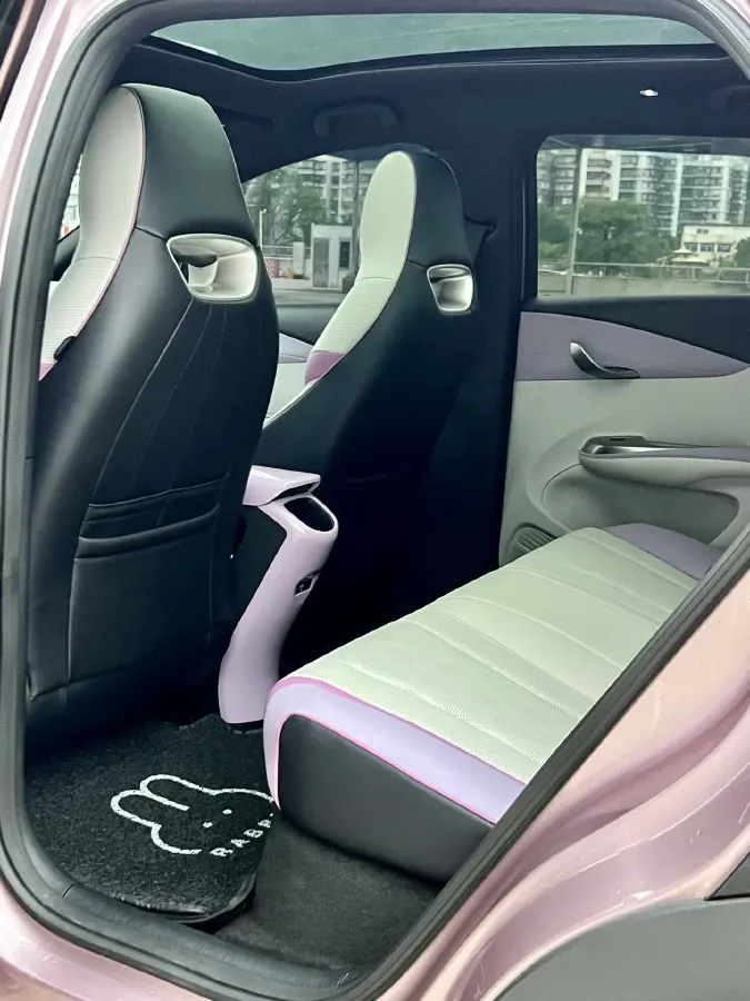 2024 BYD Dolphin BEV 44.928KWH,autocango,china used car exporter,china ev exporter,chinese used car exporter,chinese used ev exporter