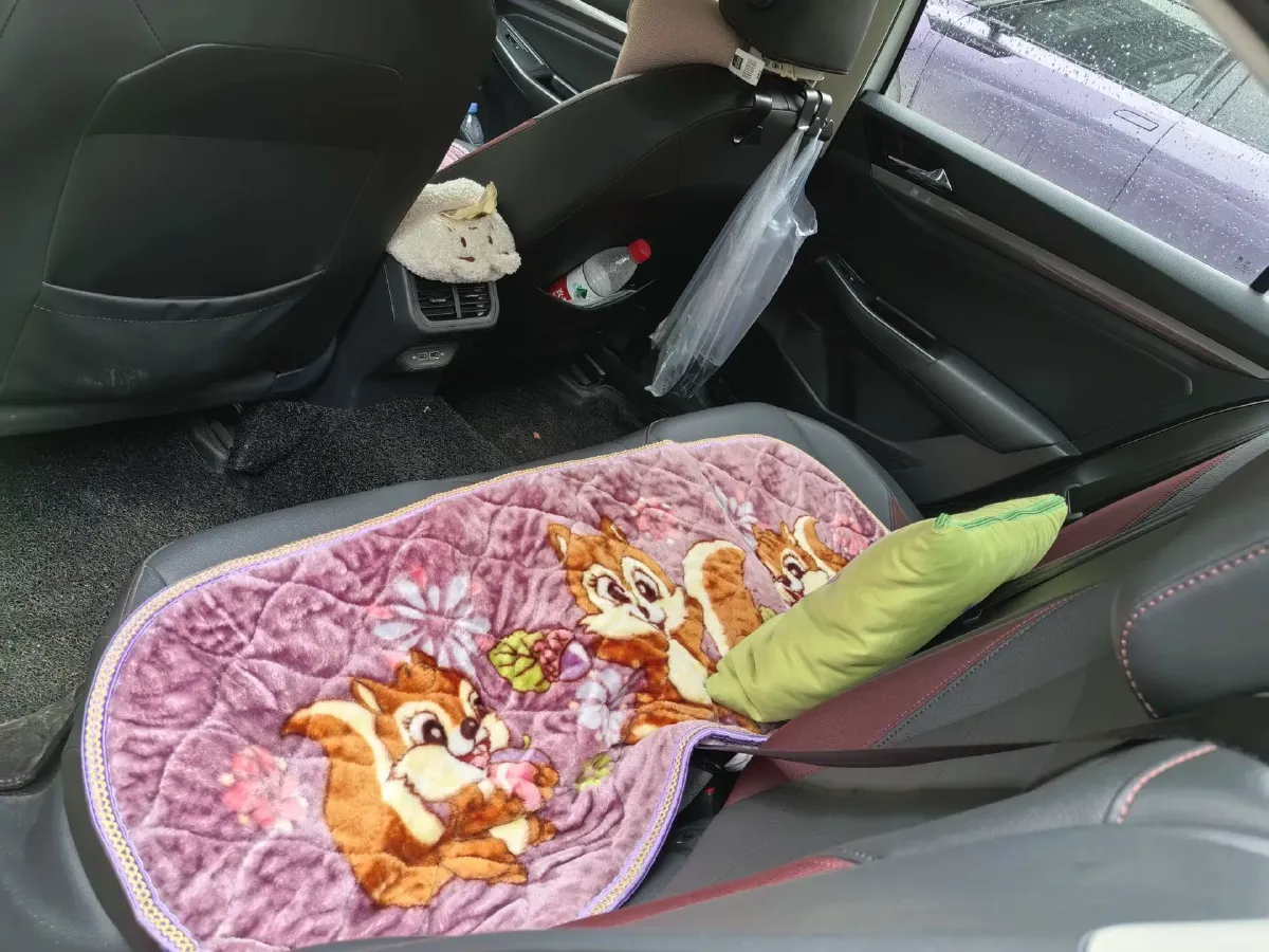 2021 Volkswagen Bora 1.5L 113HP L4 6AT,autocango,china used car exporter,china ev exporter,chinese used car exporter,chinese used ev exporter