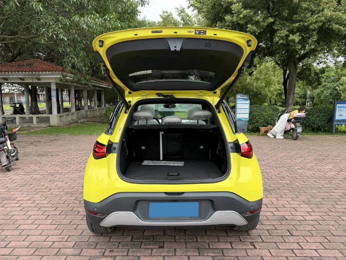 2024 Smart smart Elf 1 BEV 66KWH,autocango,china used car exporter,china ev exporter,chinese used car exporter,chinese used ev exporter