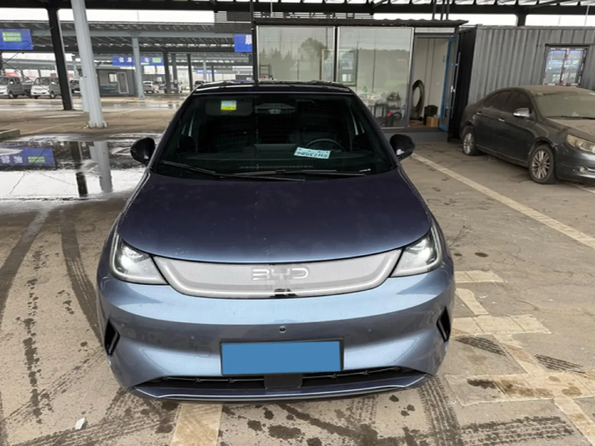 2025 BYD Dolphin BEV 45.12KWH,autocango,china used car exporter,china ev exporter,chinese used car exporter,chinese used ev exporter