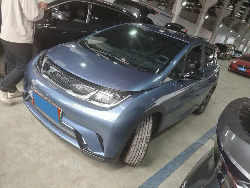 2025 BYD Dolphin BEV 44.928KWH,autocango,china used car exporter,china ev exporter,chinese used car exporter,chinese used ev exporter