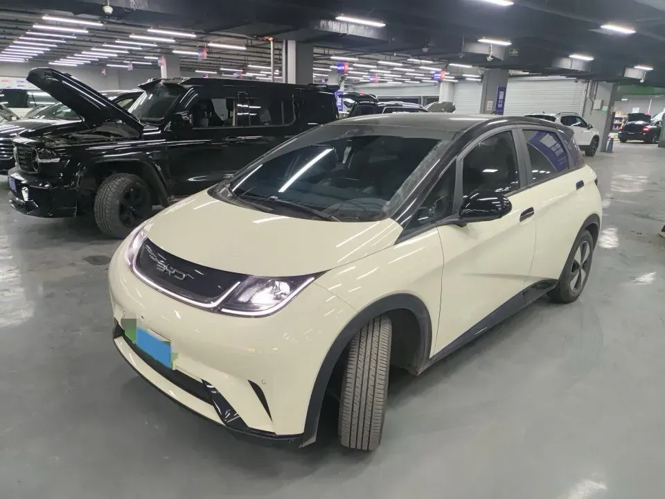 2023 BYD Dolphin BEV 44.928KWH,autocango,china used car exporter,china ev exporter,chinese used car exporter,chinese used ev exporter
