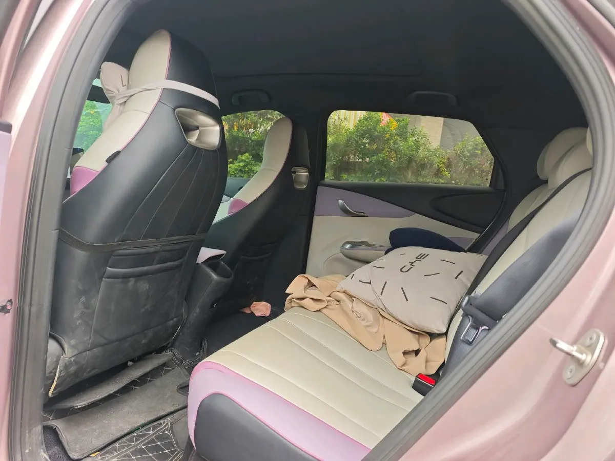 2021 BYD e2 BEV 43.2KWH,autocango,china used car exporter,china ev exporter,chinese used car exporter,chinese used ev exporter