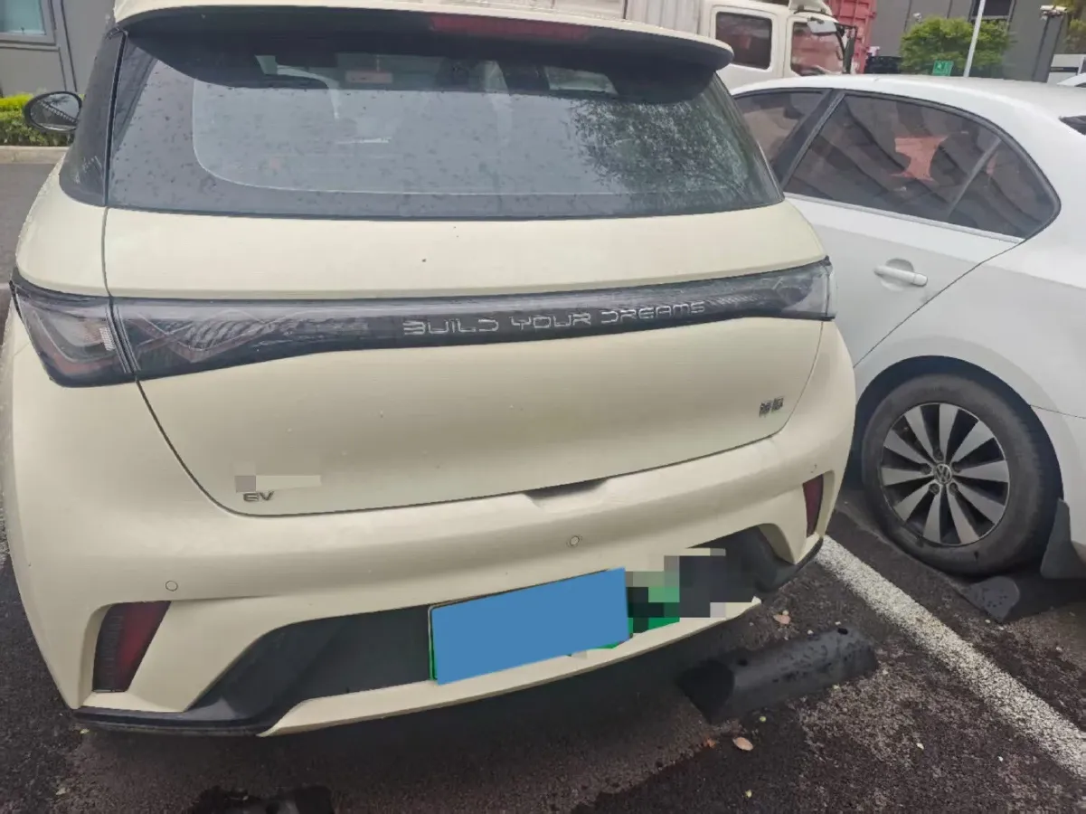 2025 BYD Dolphin BEV 44.928KWH,autocango,china used car exporter,china ev exporter,chinese used car exporter,chinese used ev exporter