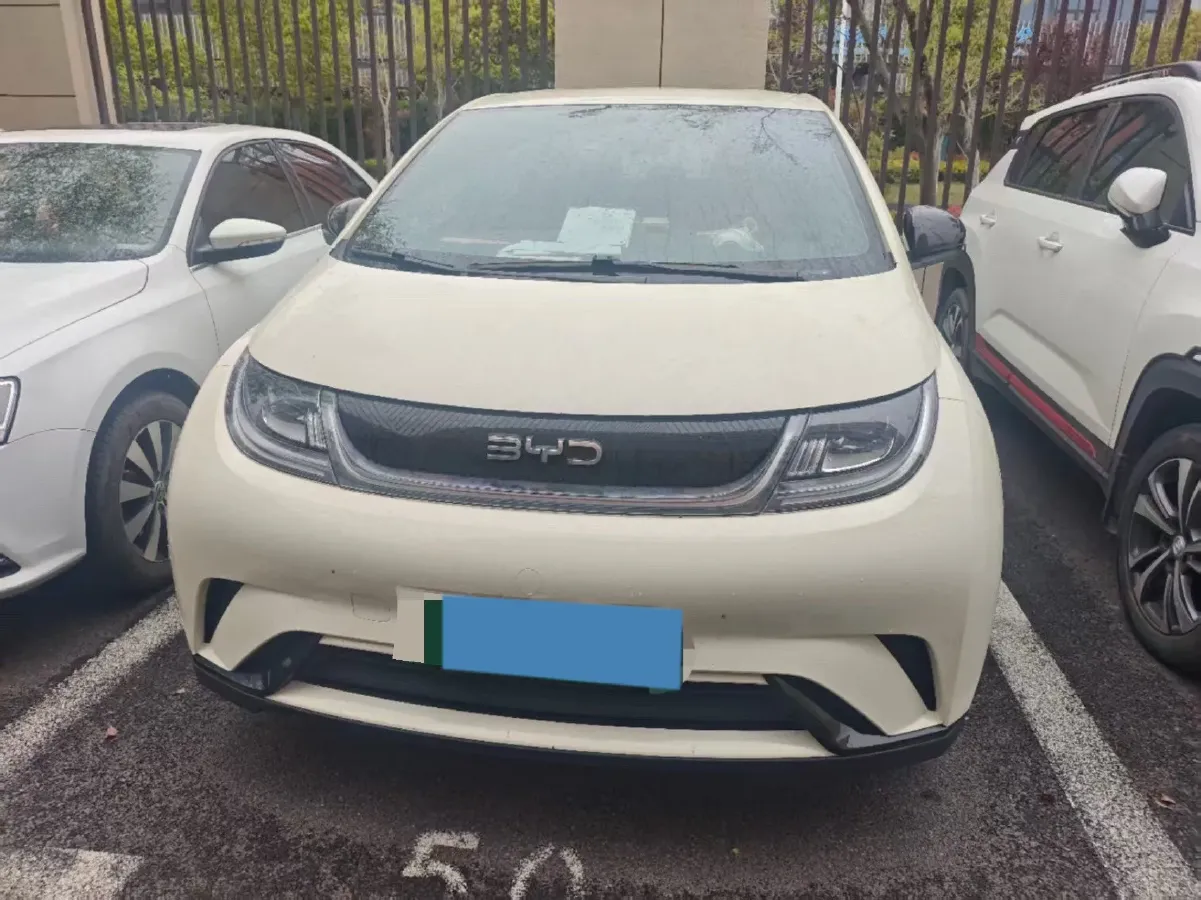 2025 BYD Dolphin BEV 44.928KWH,autocango,china used car exporter,china ev exporter,chinese used car exporter,chinese used ev exporter