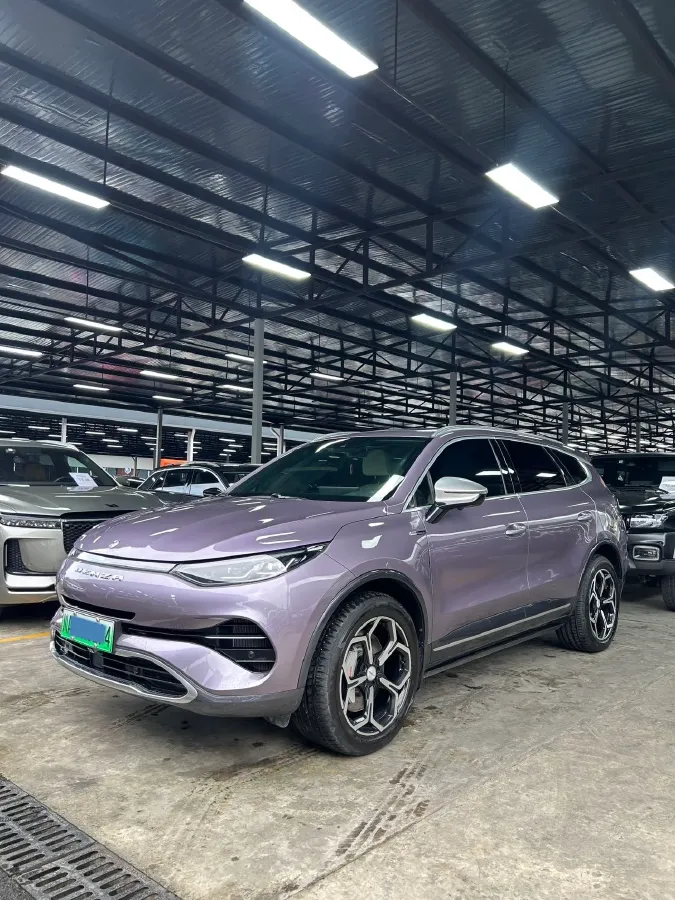 2020 Denza X 2.0T 192HP L4 6DCT PHEV 24KWH,autocango,china used car exporter,china ev exporter,chinese used car exporter,chinese used ev exporter
