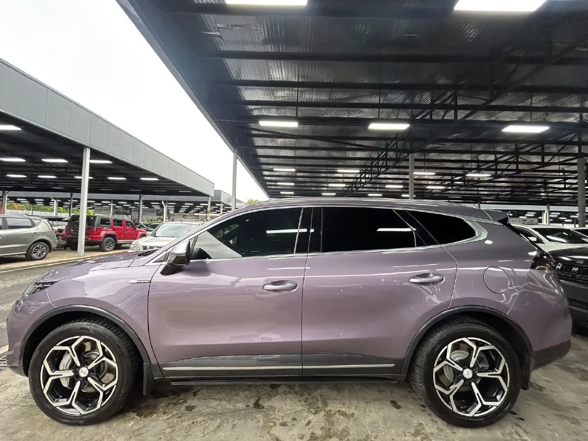 2020 Denza X 2.0T 192HP L4 6DCT PHEV 24KWH,autocango,china used car exporter,china ev exporter,chinese used car exporter,chinese used ev exporter