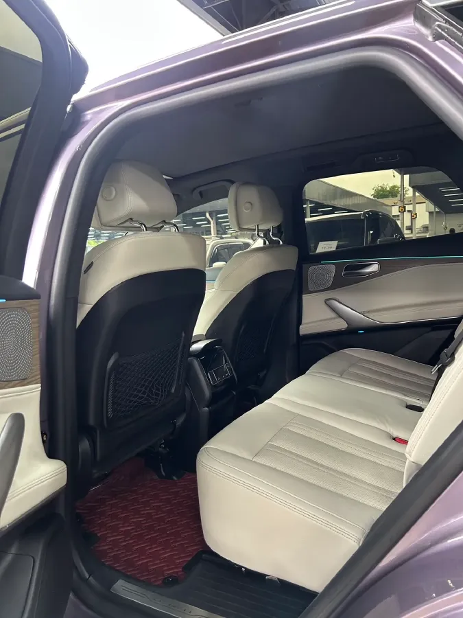 2020 Denza X 2.0T 192HP L4 6DCT PHEV 24KWH,autocango,china used car exporter,china ev exporter,chinese used car exporter,chinese used ev exporter