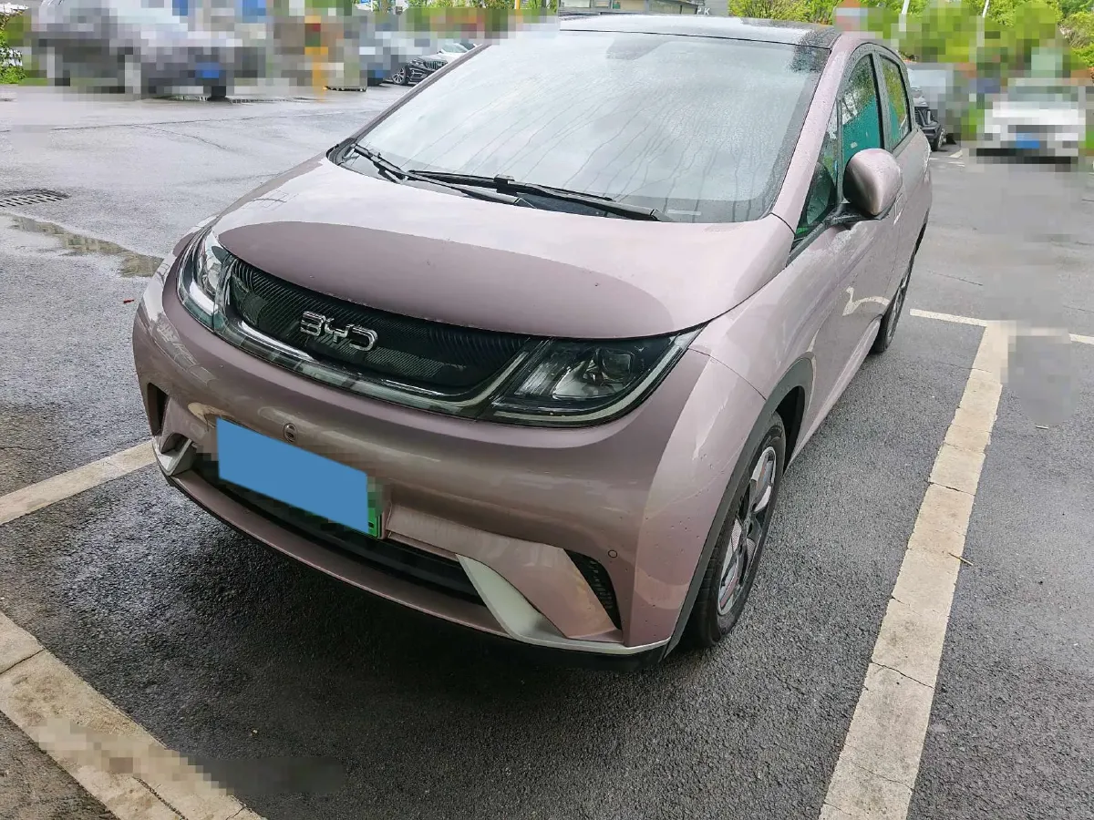 2024 BYD Dolphin BEV 44.928KWH,autocango,china used car exporter,china ev exporter,chinese used car exporter,chinese used ev exporter