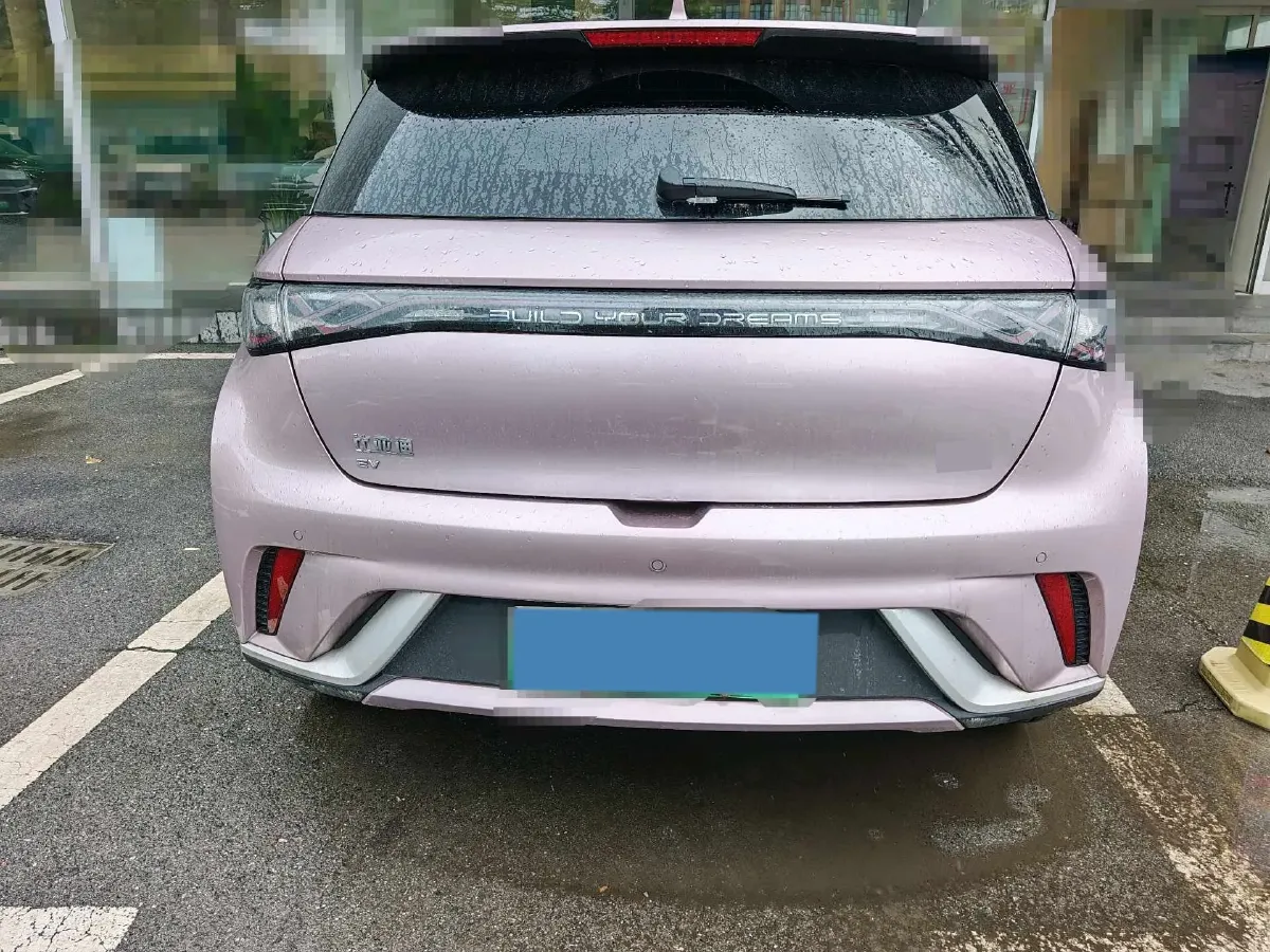 2024 BYD Dolphin BEV 44.928KWH,autocango,china used car exporter,china ev exporter,chinese used car exporter,chinese used ev exporter